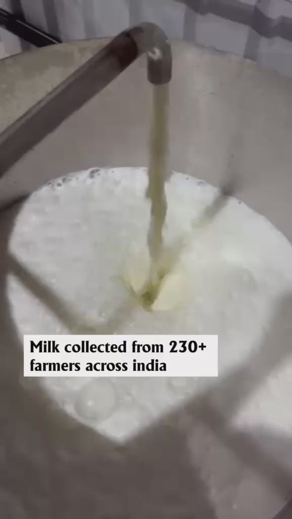 Load video: our-bolina-process